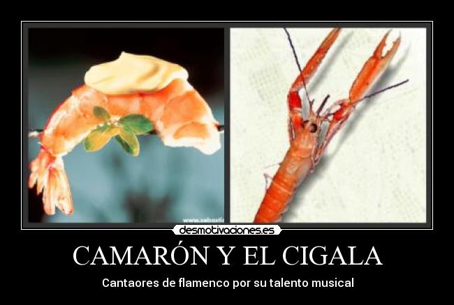 CAMARÓN Y EL CIGALA - 