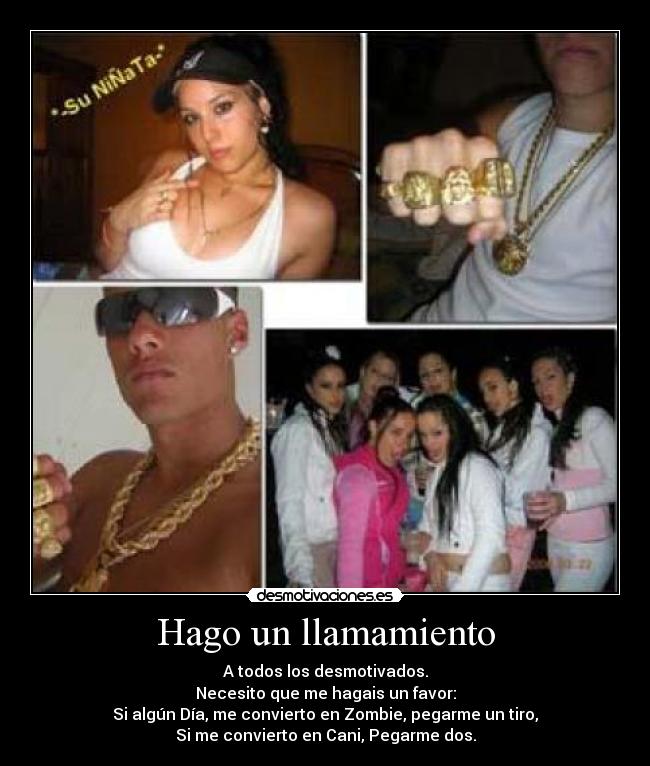 carteles canis pipas desmotivaciones