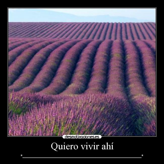 carteles suenos por cumplir desmotivaciones