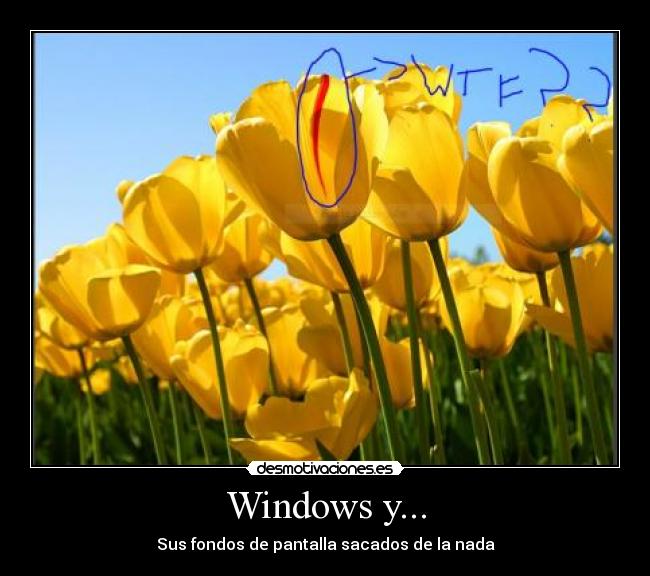 Windows y... -