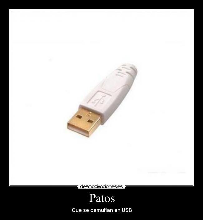 Patos - 