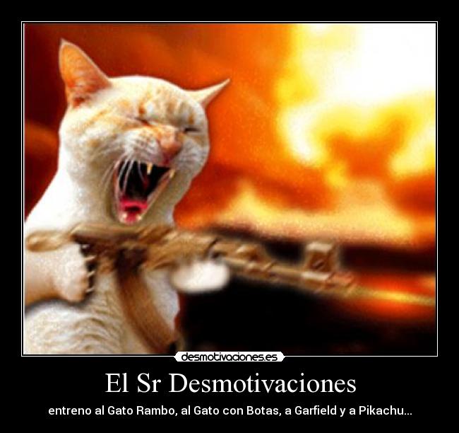 El Sr Desmotivaciones - entreno al Gato Rambo, al Gato con Botas, a Garfield y a Pikachu...