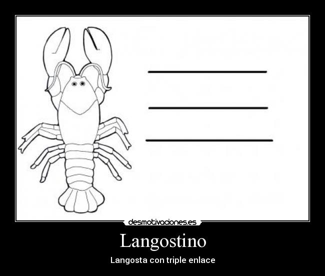 Langostino - Langosta con triple enlace