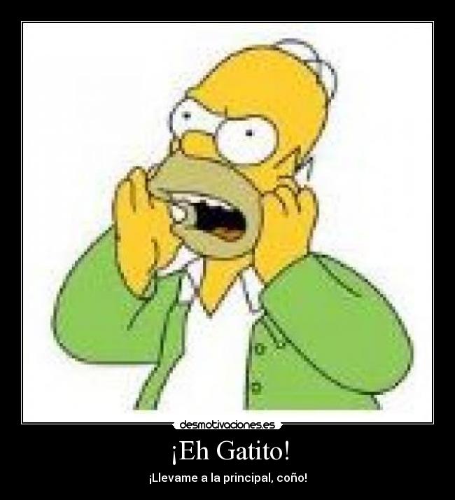 ¡Eh Gatito! - 