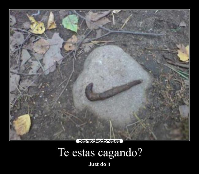 Te estas cagando? - Just do it