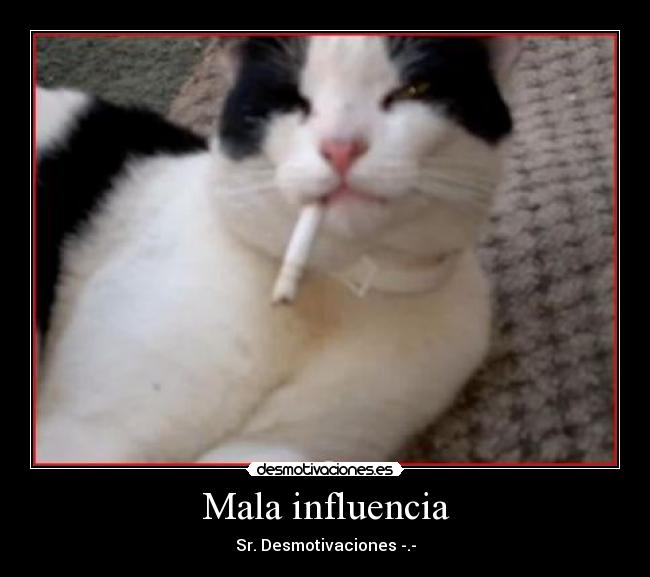 Mala influencia - Sr. Desmotivaciones -.-