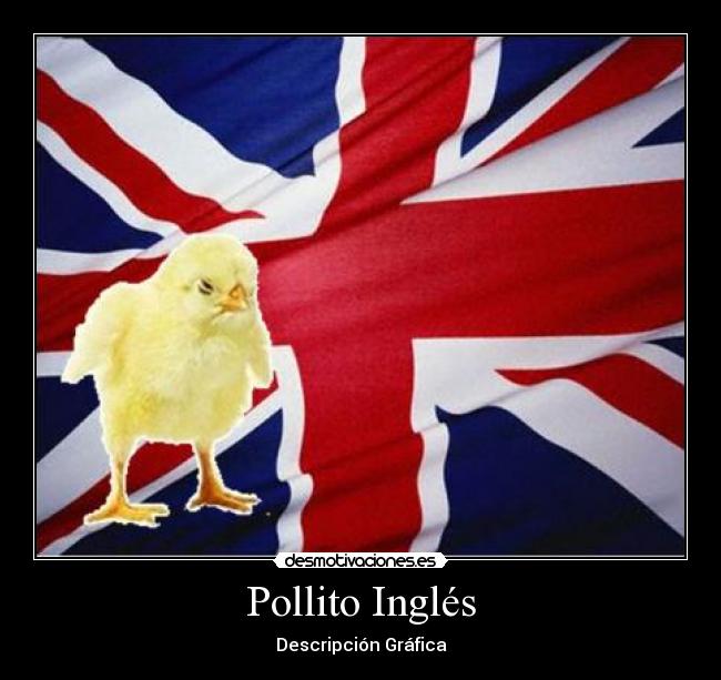 carteles pollito ingles desmotivaciones