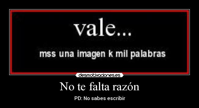 No te falta razón - PD: No sabes escribir