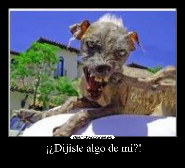 ¡¿Dijiste algo de mí?! -