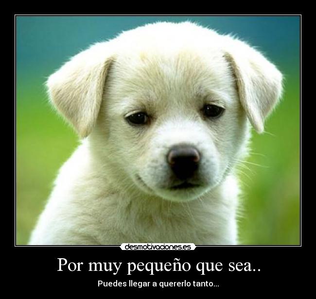 Por muy pequeño que sea.. -