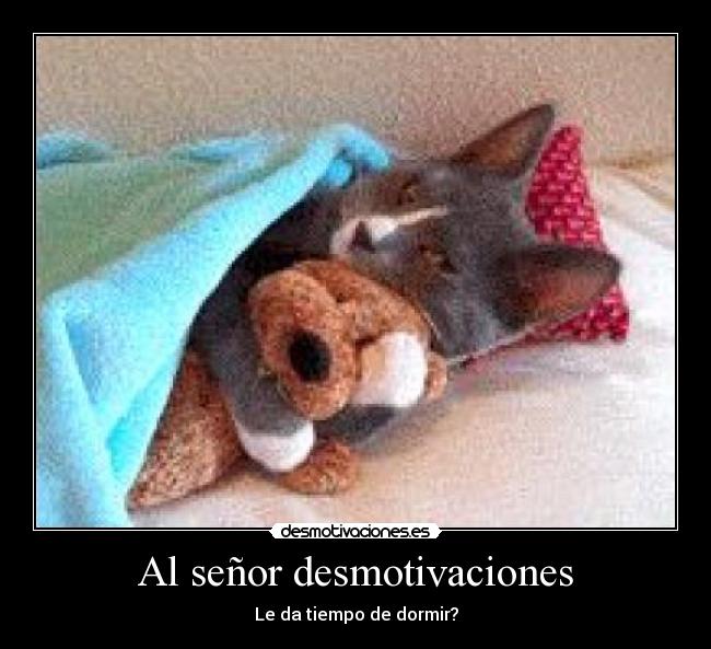 Al señor desmotivaciones - Le da tiempo de dormir?