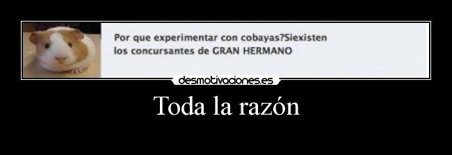 Toda la razón -