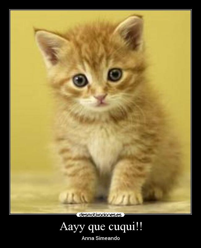 Aayy que cuqui!! -