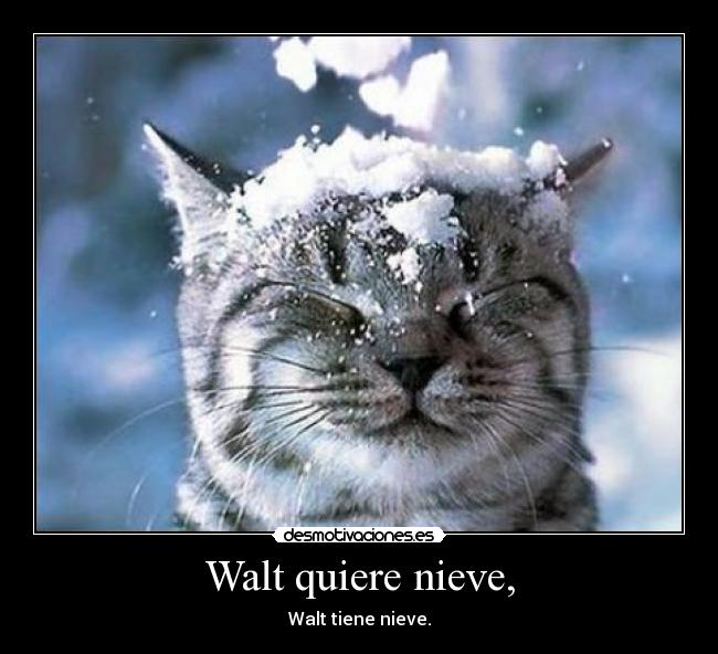 Walt quiere nieve, - Walt tiene nieve.