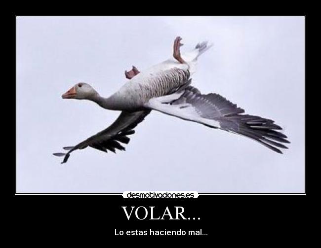 VOLAR... -