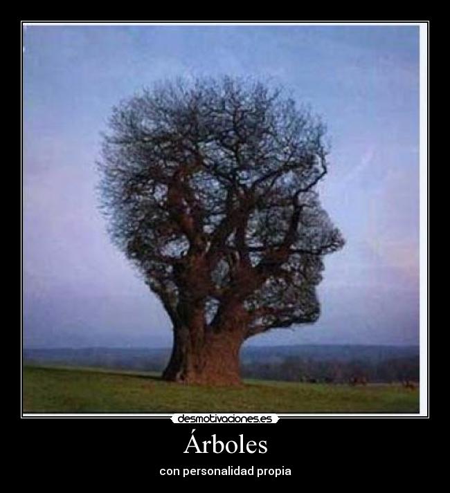 Árboles -