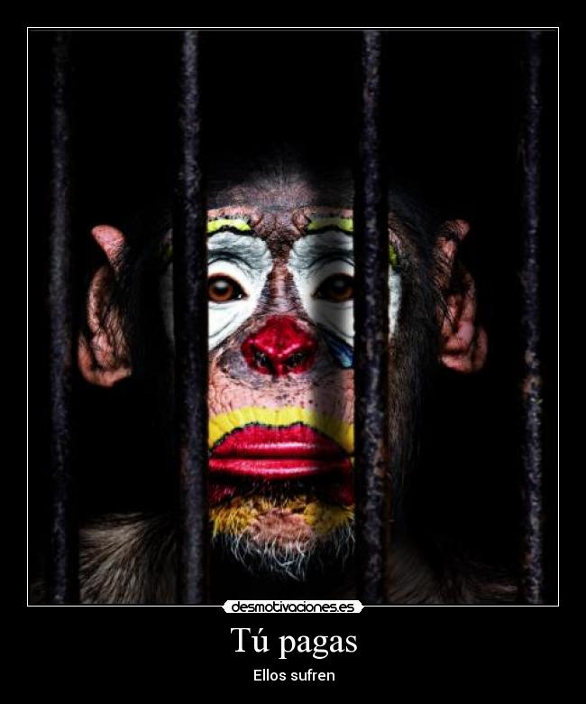 Tú pagas - 