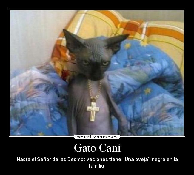 Gato Cani - Hasta el Señor de las Desmotivaciones tiene Una oveja negra en la familia