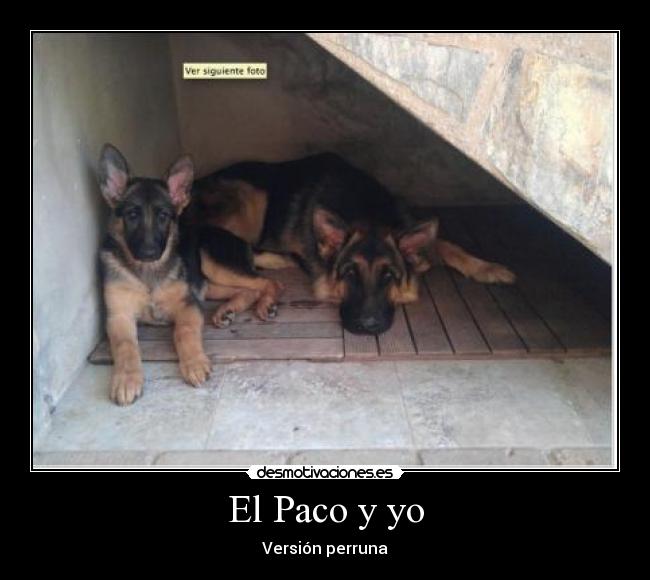 El Paco y yo - 
