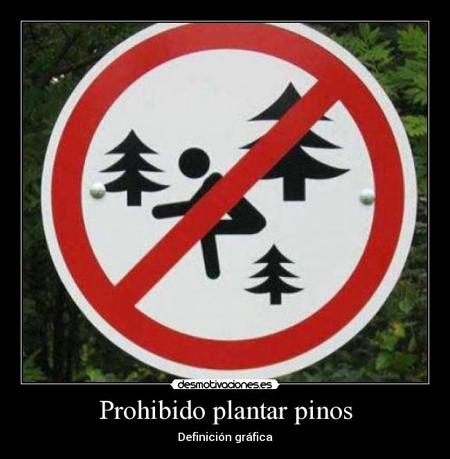 Prohibido plantar pinos - 