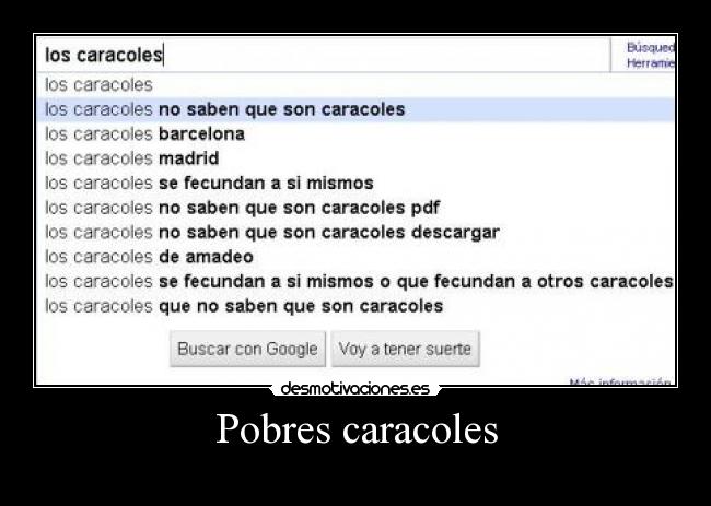 Pobres caracoles - 