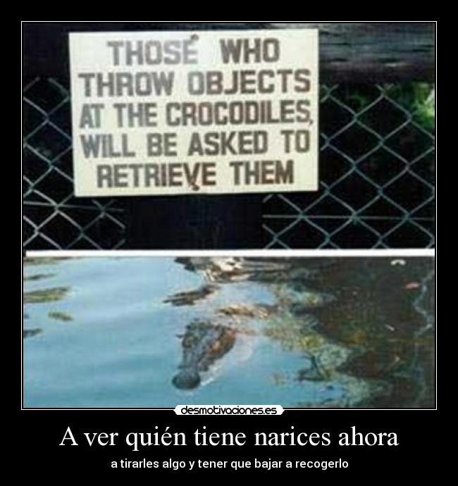 A ver quién tiene narices ahora - a tirarles algo y tener que bajar a recogerlo