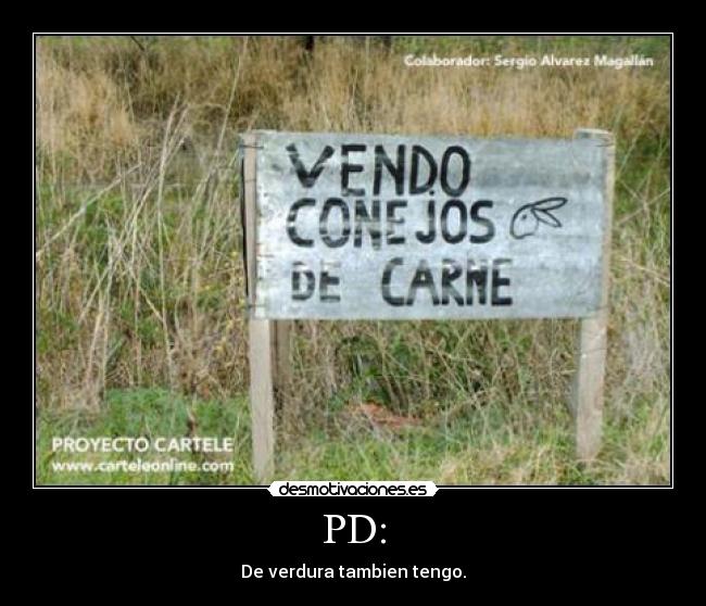 carteles conejos desmotivaciones