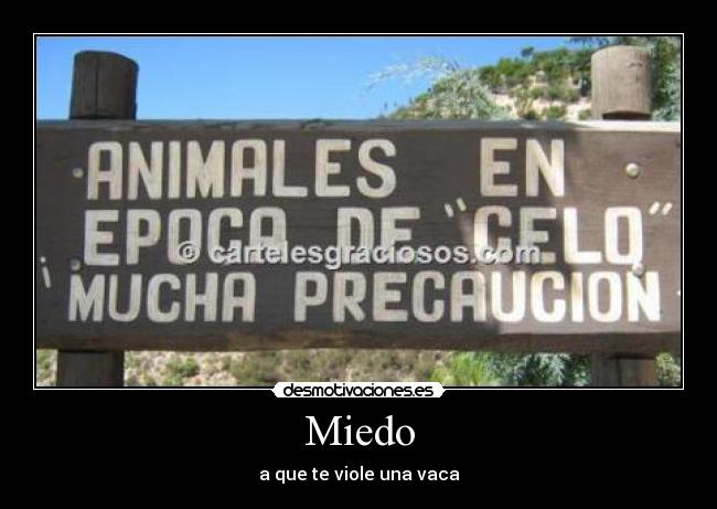 carteles miedo animales celo miedo precaucuon violar desmotivaciones