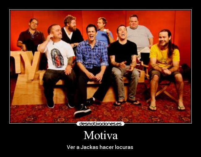 Motiva - Ver a Jackas hacer locuras 