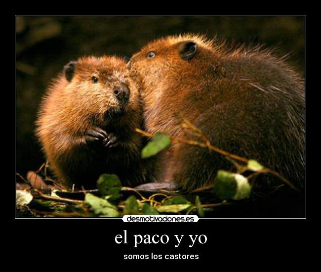 el paco y yo - 