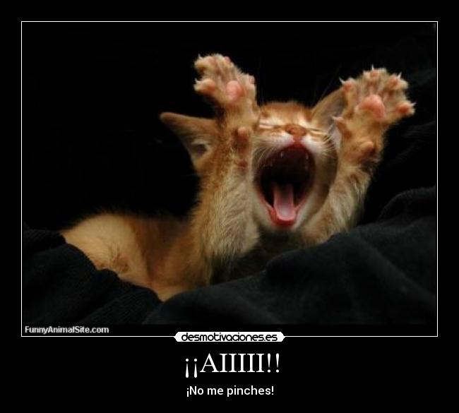 ¡¡AIIIII!! - 