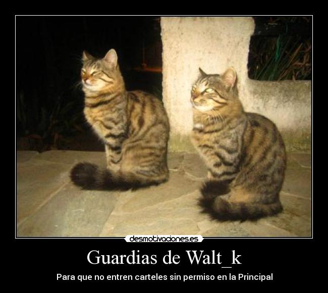 Guardias de Walt_k - Para que no entren carteles sin permiso en la Principal
