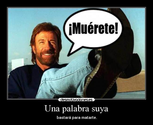 carteles chuck norris desmotivaciones