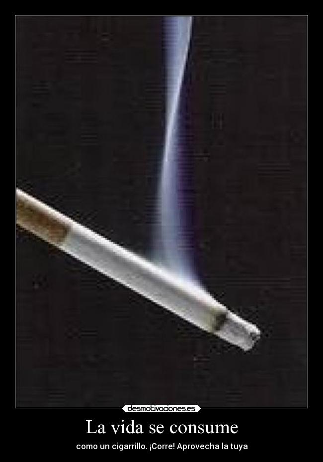 La vida se consume - como un cigarrillo. ¡Corre! Aprovecha la tuya