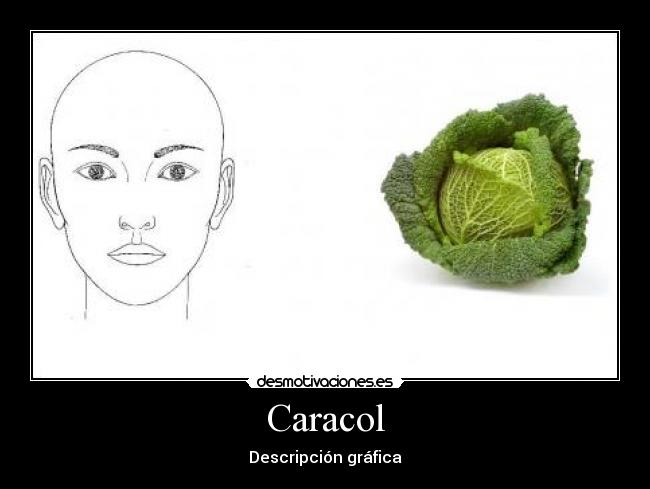 Caracol -