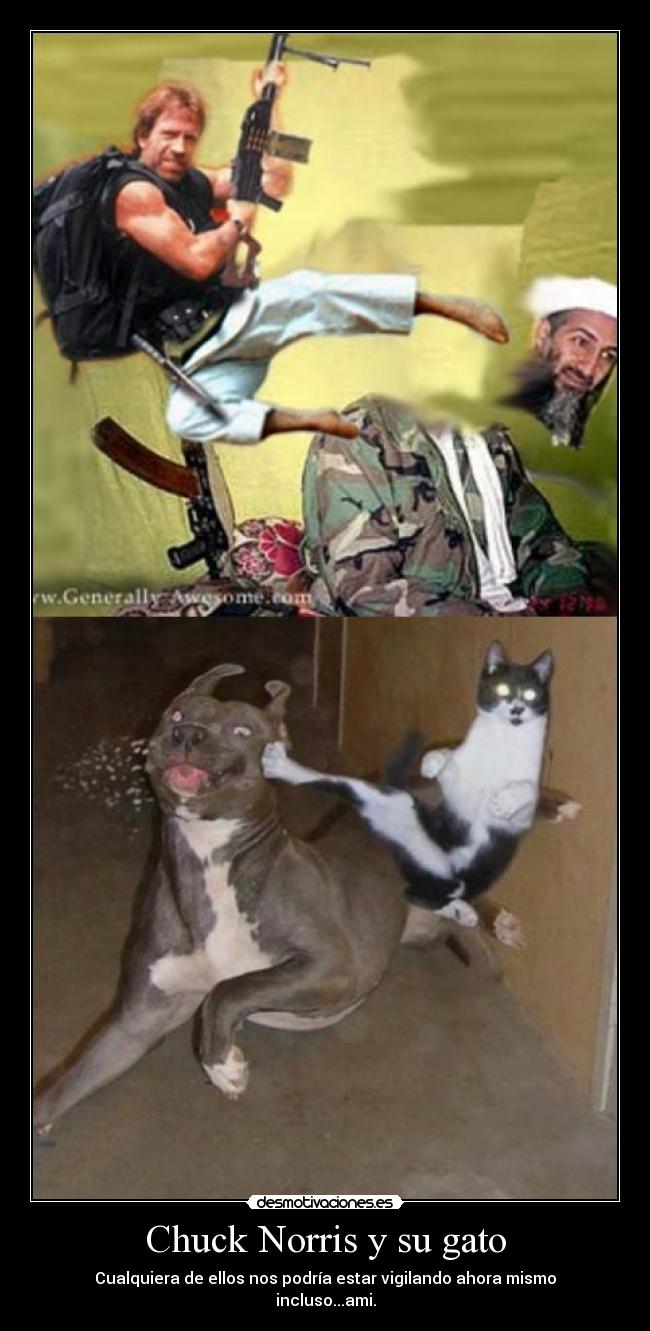 Chuck Norris y su gato -