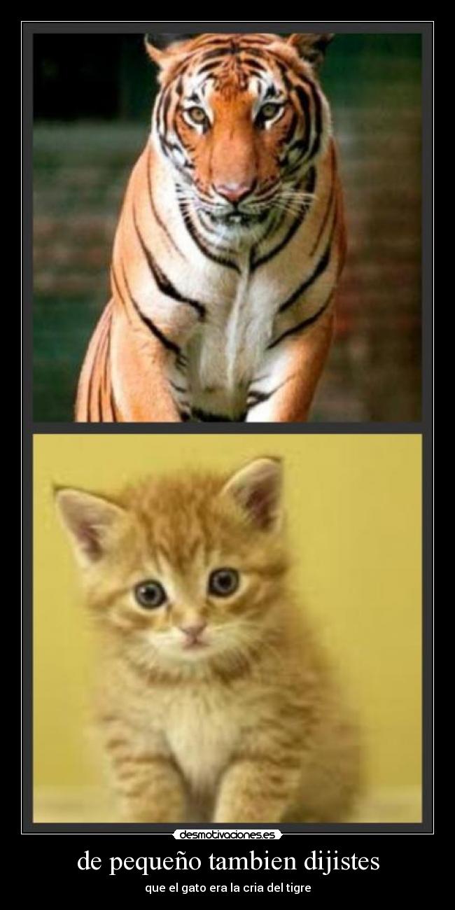 de pequeño tambien dijistes - que el gato era la cria del tigre