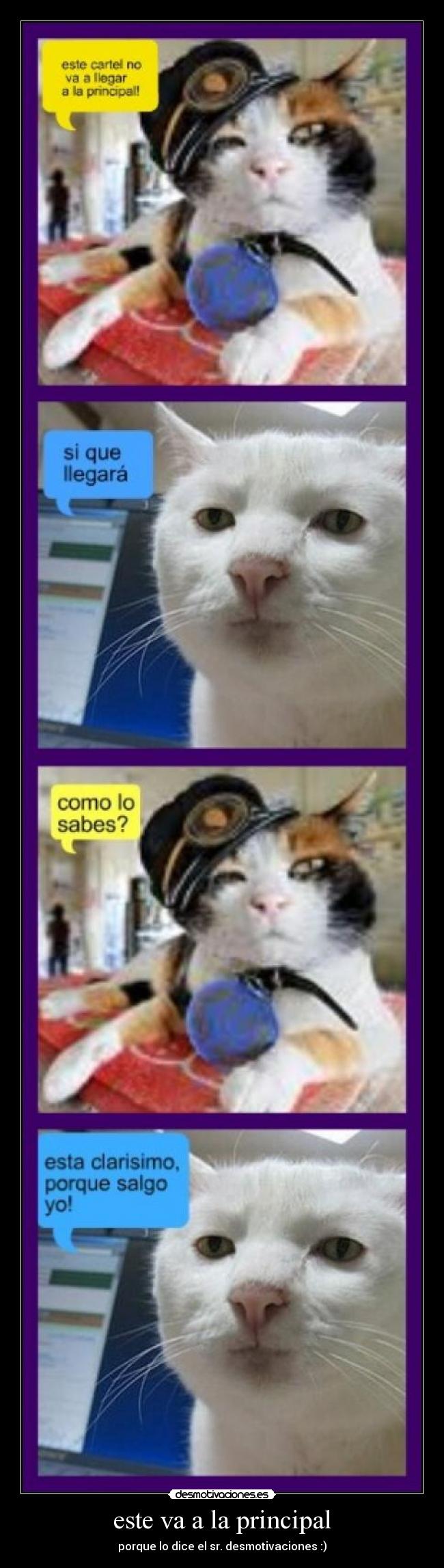 este va a la principal -