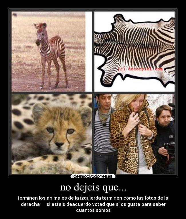 no dejeis que... - terminen los animales de la izquierda terminen como las fotos de la
derecha si estais deacuerdo votad que si os gusta para saber
cuantos somos