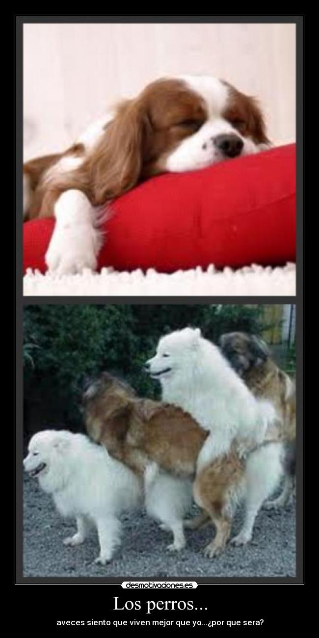 carteles desmotivaciones