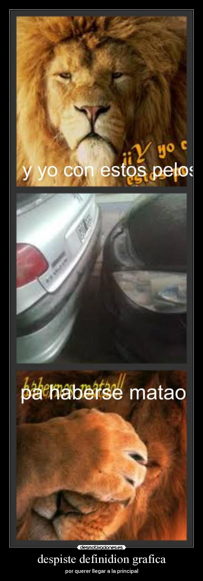 carteles despistes desmotivaciones