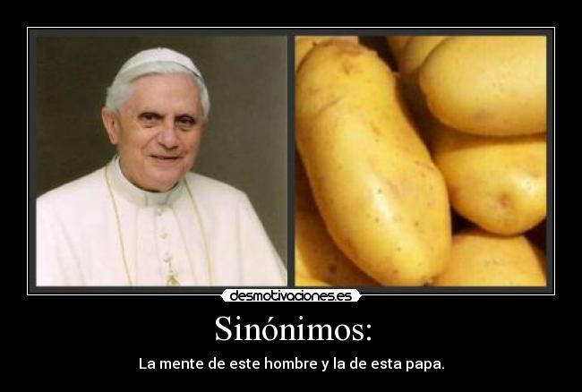 Sinónimos: - La mente de este hombre y la de esta papa.