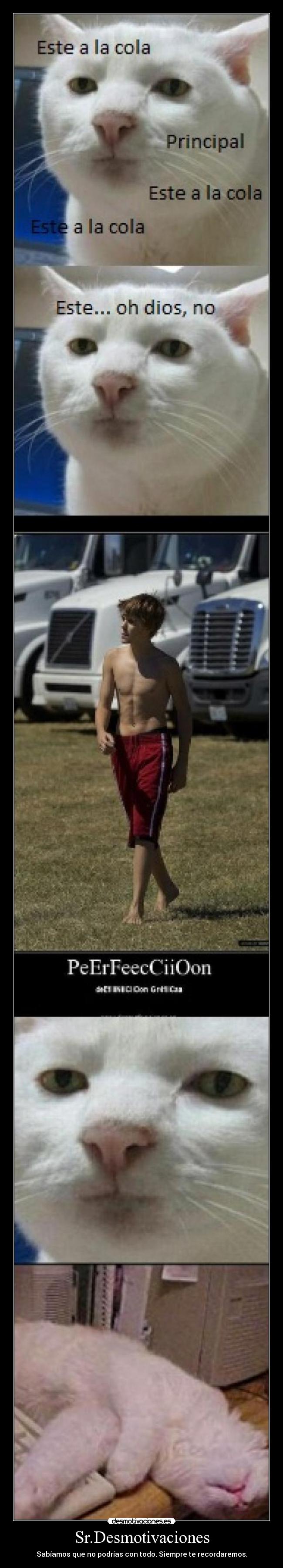 Sr.Desmotivaciones -