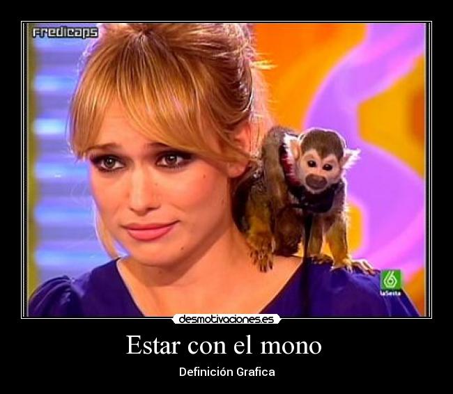 Estar con el mono  - Definición Grafica