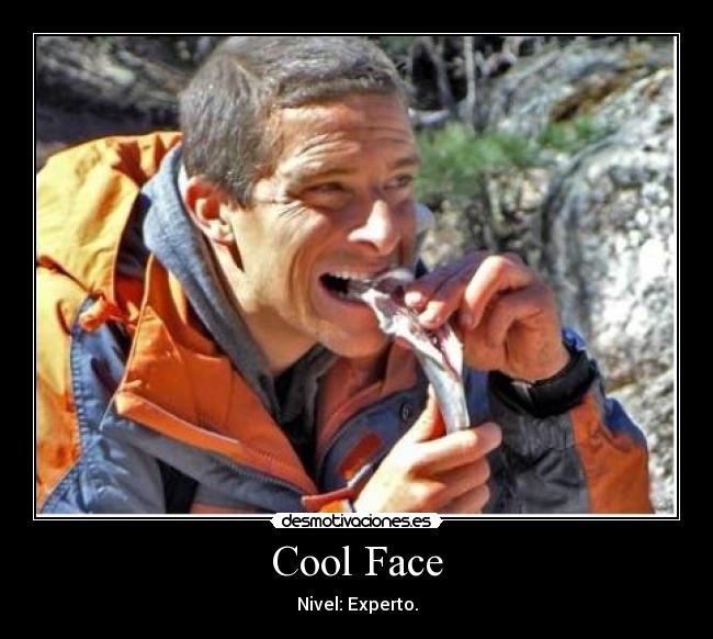 carteles cool face bear grylls sardinas desmotivaciones