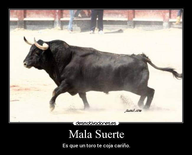 Mala Suerte - Es que un toro te coja cariño.