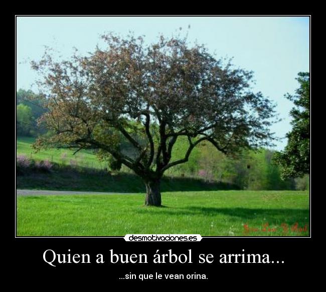 Quien a buen árbol se arrima... - 