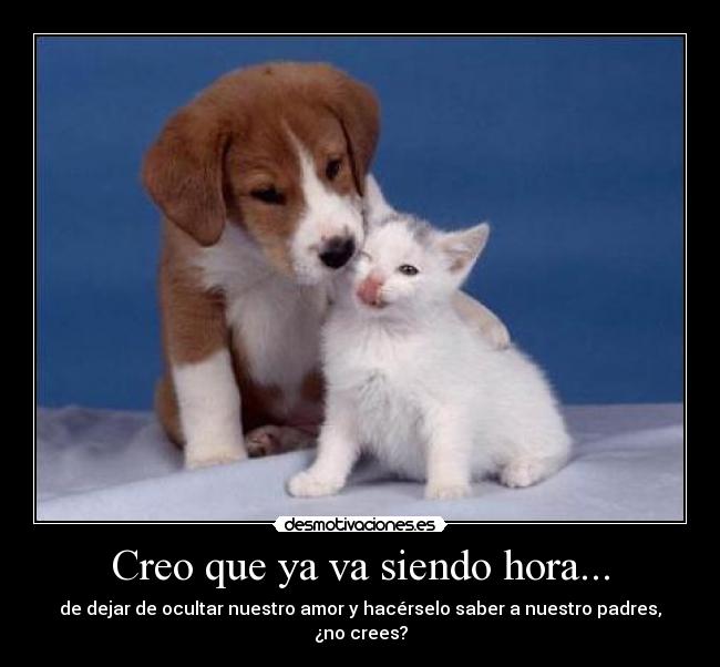 Creo que ya va siendo hora... -