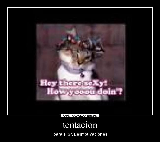 tentacion - para el Sr. Desmotivaciones