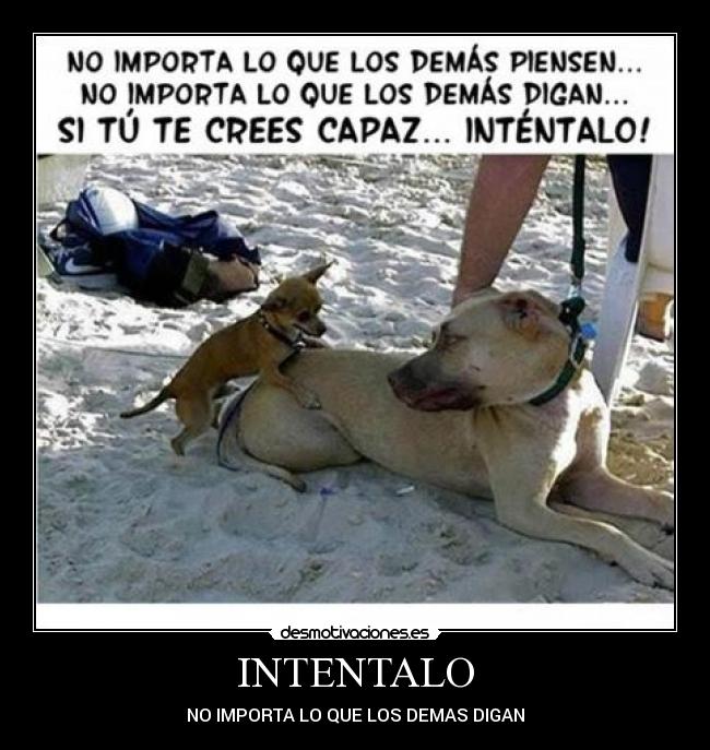 INTENTALO -
